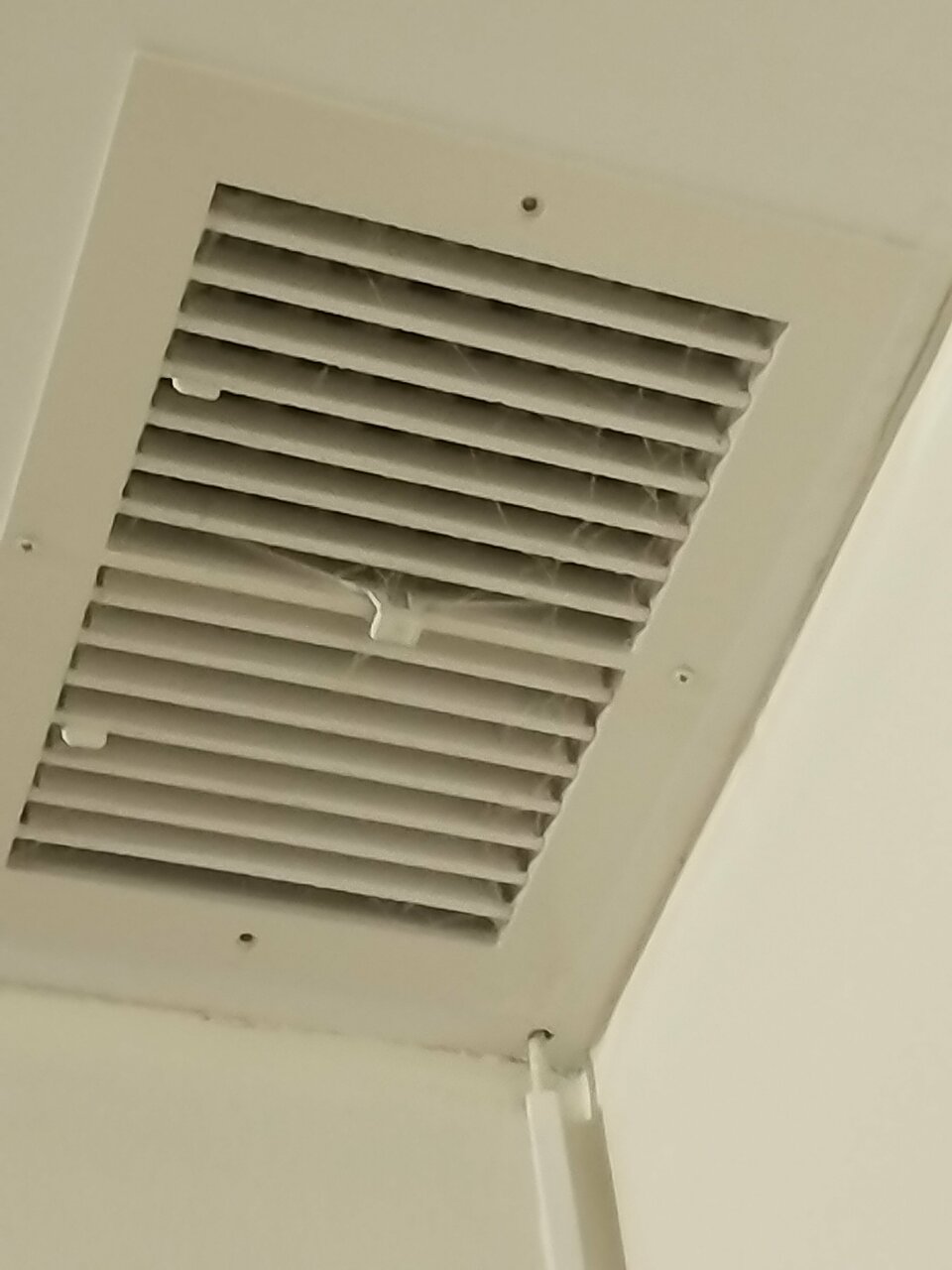 Гостиница Гостевой дом Садочек Севастополь-79