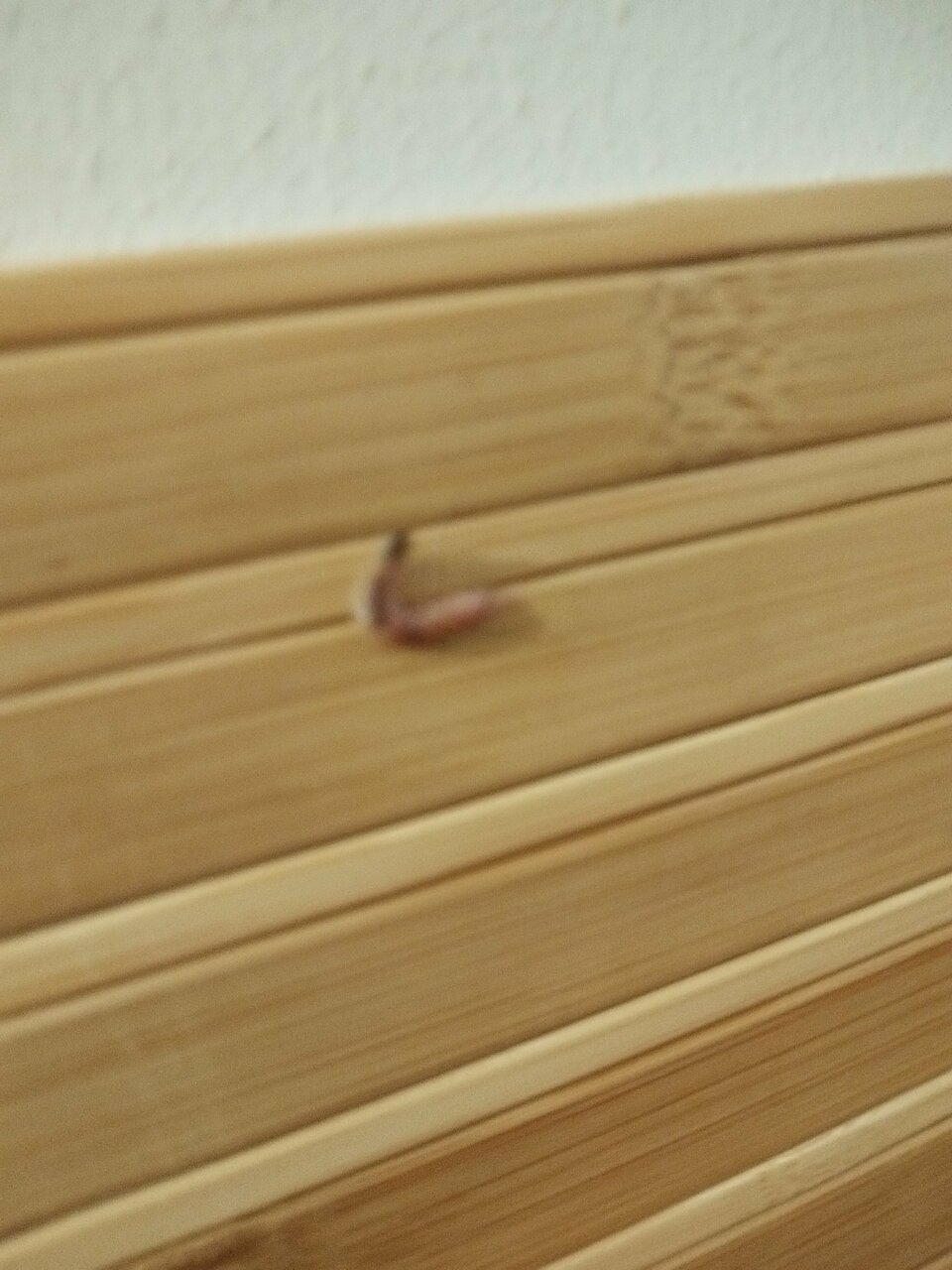 Гостиница Гостевой дом Садочек Севастополь-81