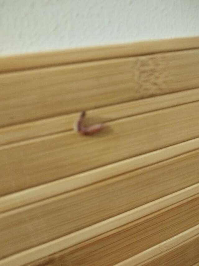 Гостиница Гостевой дом Садочек Севастополь-80